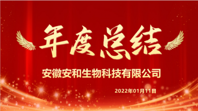 安徽安和2021年度總結、述職及簽狀大會(huì )